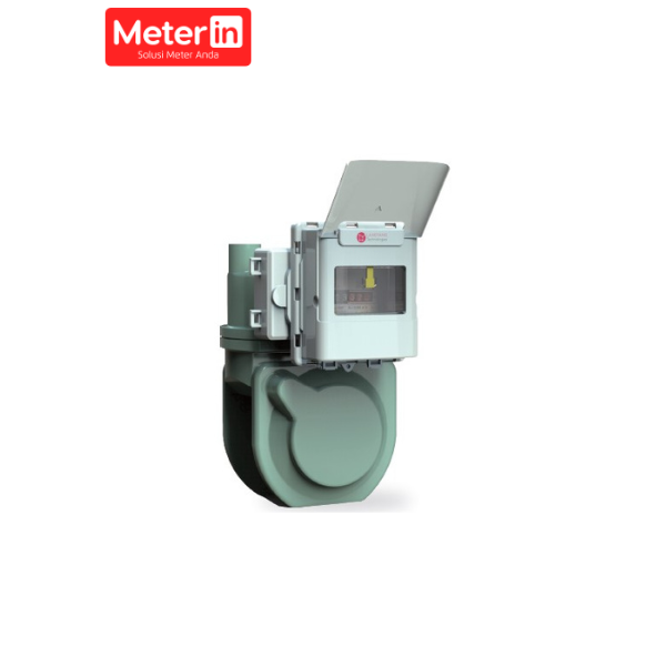 Gas Meter Reader Meterin